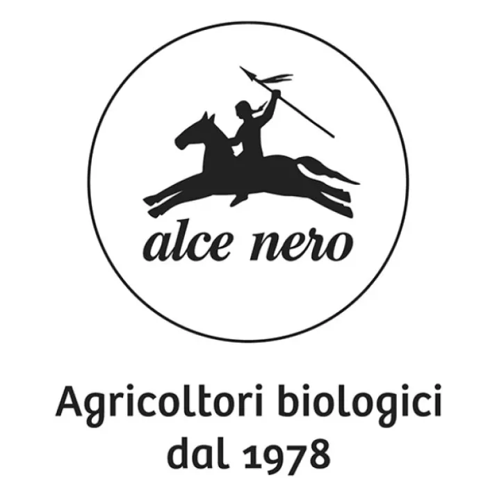 ACETO BALSAMICO MODENA IGP BIO