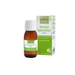 Aesculus Hippocastanum Gemme MG Boiron 60ml