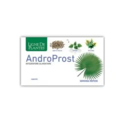 AndroProst Ligne De Plantes 60 Capsule