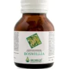 Arcangea Boswellia Integratore Alimentare 60 capsule 500mg