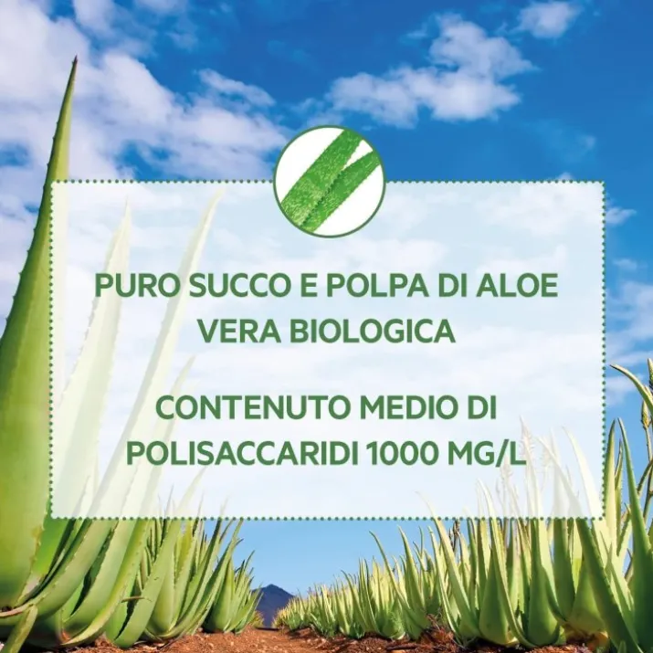 Bio Aloe Vera Porvida 500ml