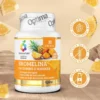 BROMELINA GAMBO ANANAS 30CPR