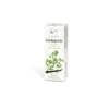 Caira Macerato Ginkgovir Integratore Alimentare 50ml