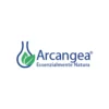 CANNELLA BIO Olio Essenziale Arcangea® 5ml
