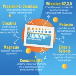 Carnidyn Fast Caldo e Affaticamento ALFASIGMA 12 Bustine