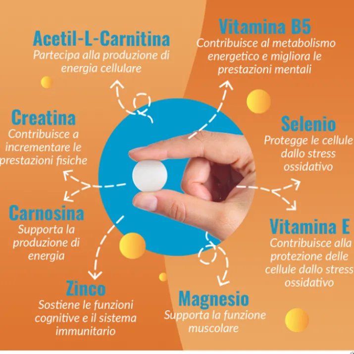 Carnidyn Plus Alfasigma 18 Compresse Masticabili