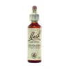 Centaury Fiori Di Bach® Originali 20ml