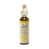 Cerato Fiori di Bach® Originali 20ml