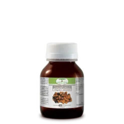 Chagafungus Renaco 60 Capsule