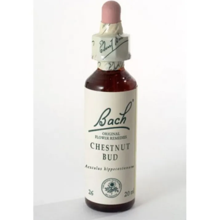 Chestnut Bud Fiori Di Bach® Original 20ml