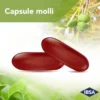 Colesia® IBSA Farmaceutici 30 Capsule Molli
