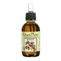 Ecol Ribes Nero Gemme Estratto Analcolico 50ml
