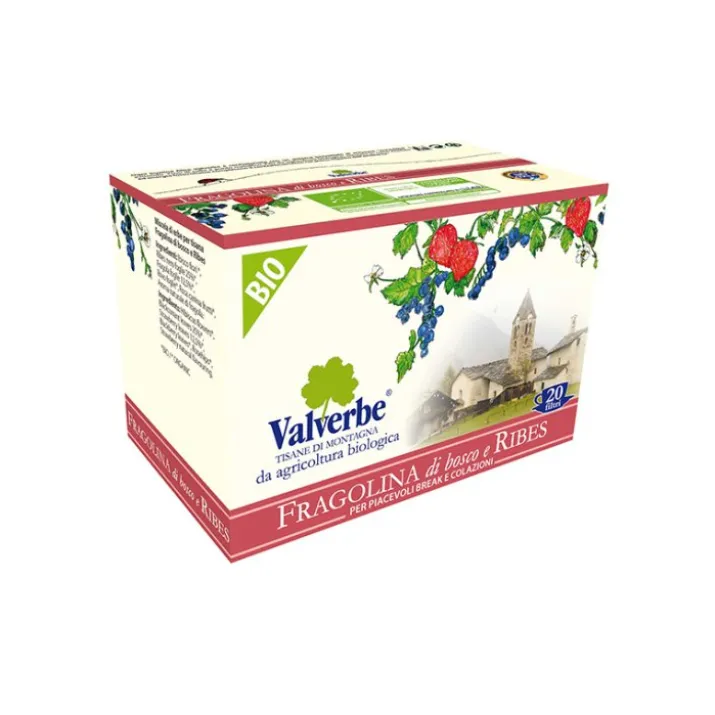 Fragolina Di Bosco E Ribes Valverbe 20 Filtri