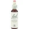 Gentian Fiori Di Bach® Original 20ml