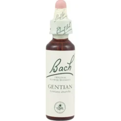 Gentian Fiori Di Bach® Original 20ml
