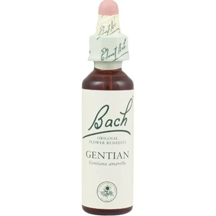 Gentian Fiori Di Bach® Original 20ml