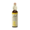 Gorse Fiori di Bach® Originali 20ml