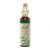 Holly Fiori di Bach® Originali 20ml