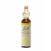 Hornbeam Fiori Di Bach® Originali 20ml