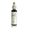 Larch Fiori Di Bach® Originali 20ml