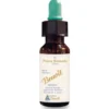 Penta Remedy Benoit 30ml