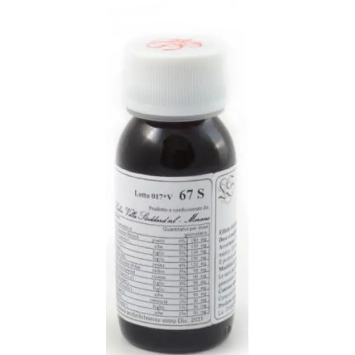 67 S Echinacea Purpurea Compositum Labor Villa Stoddard 60ml