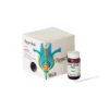 Sella Pappa Reale Liquida 10g