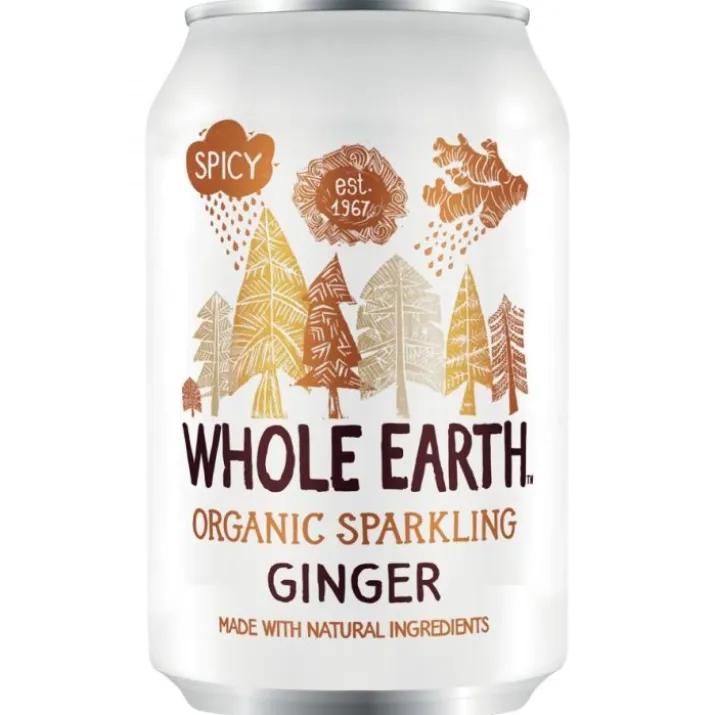 Spicy Ginger Whole Earth 330ml