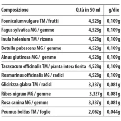 System Detox fitosystem 50ml