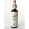 Wild Oat Fiori Di Bach® Original 20ml